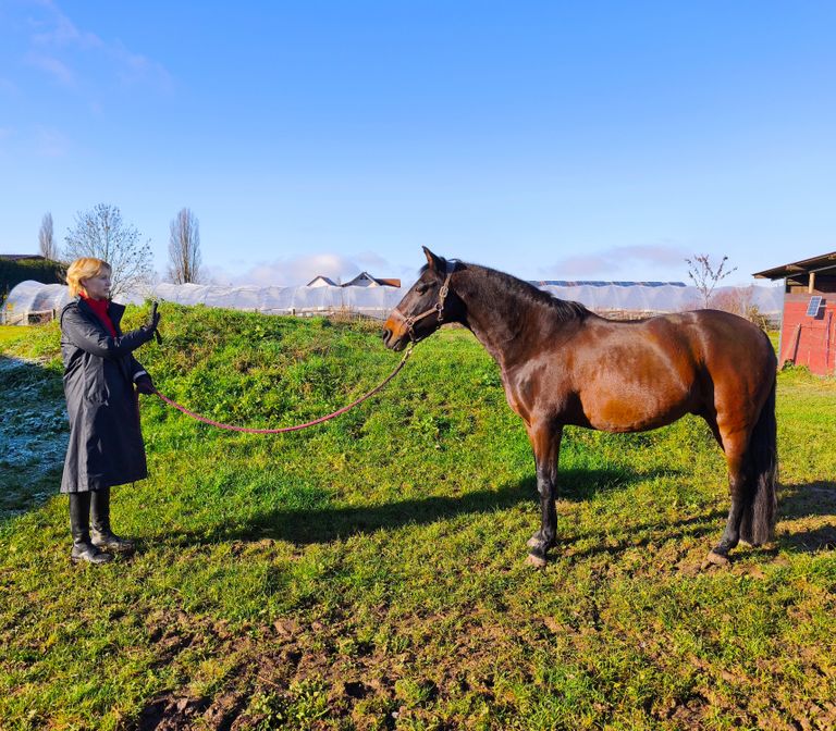 Jennifer Haug steht mit ihren Pferden in der Natur. Leichtigkeit, Humor aber auch Vertrauen und Zuversicht stehen im Fokus.