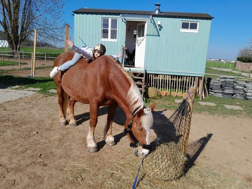 #Reittherapie#Autismus