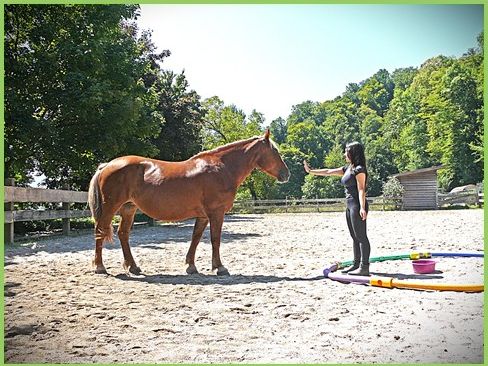 Jennifer Haug steht mit ihren Pferden in der Natur. Leichtigkeit, Humor aber auch Vertrauen und Zuversicht stehen im Fokus.