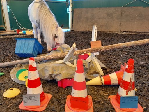 #Methoden#Erkenntnisse