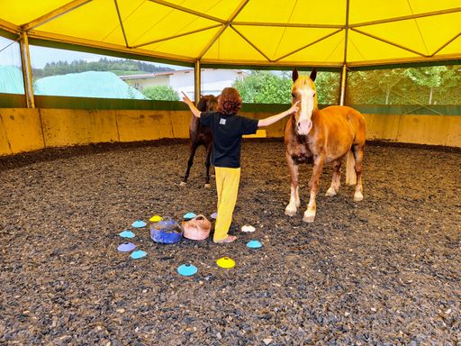 #Durchsetzungsvermögen#Grenzen