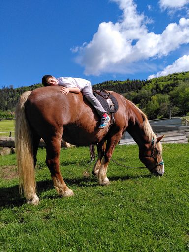 #Autismus#Reittherapie