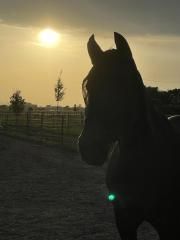 'innigeMomente#zurRuhekommen