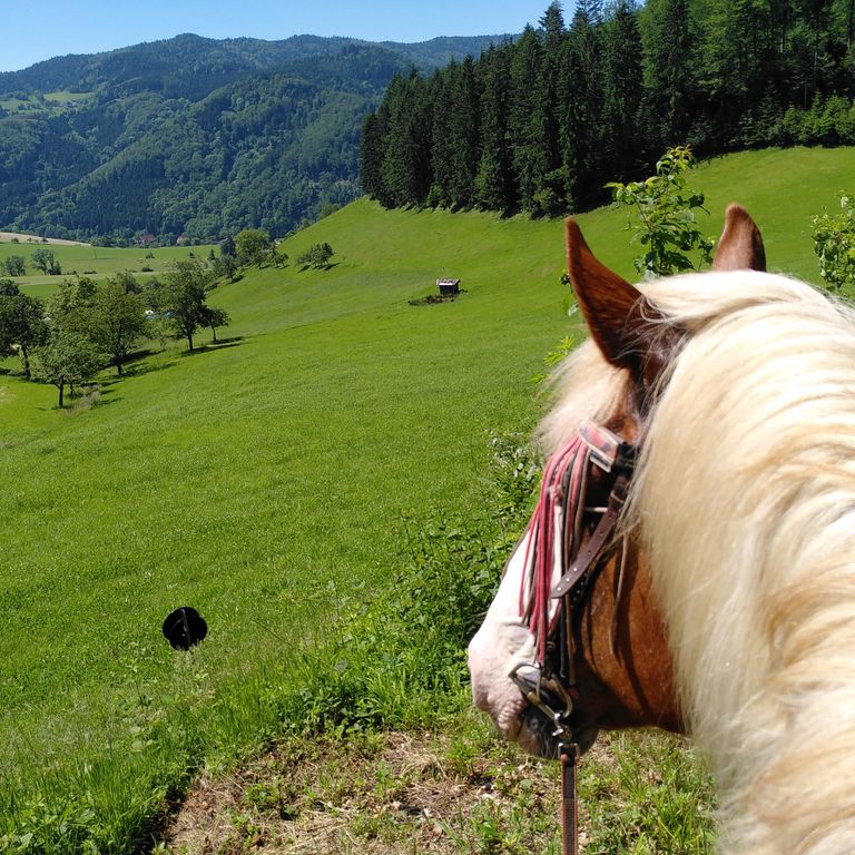 Achtsamkeit und den Blick in die Weite kann den Blick auf ein Problem verändern.
