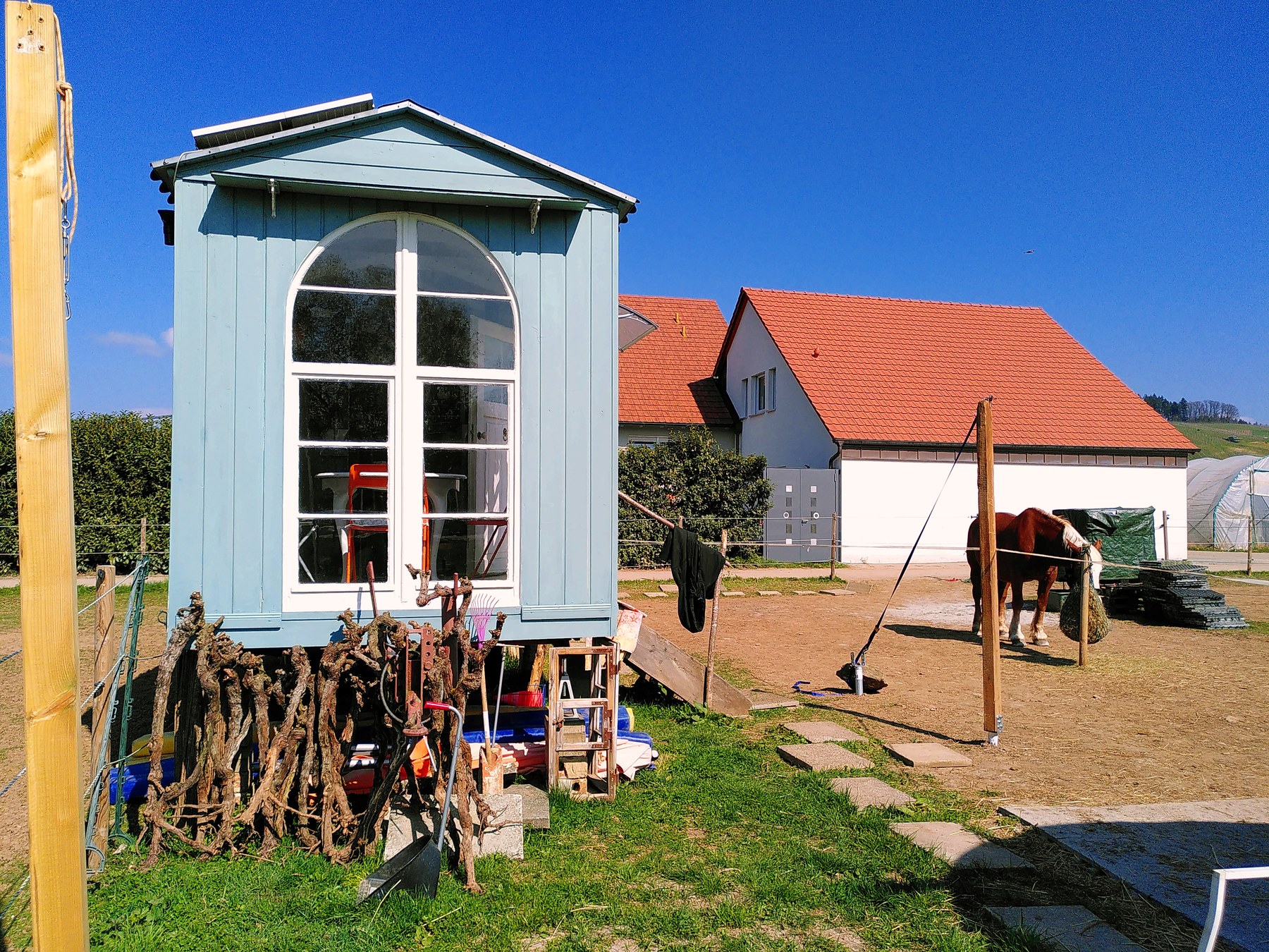 Der blaue Bauwagen auf dem Hof, davor der Reitplatz