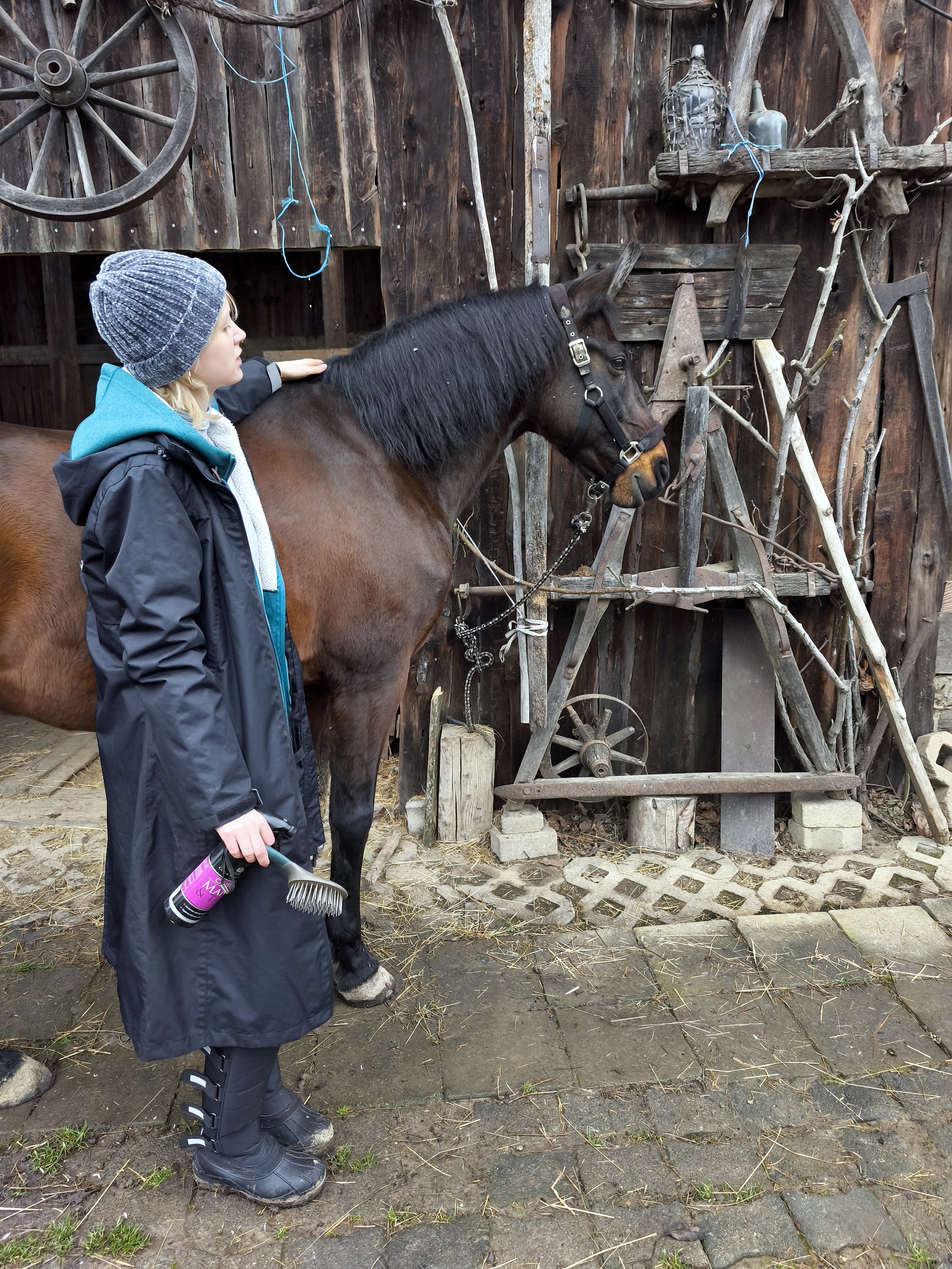 Eine Frau steht mit einem dunklen Pferd vor dem alten Holzstall