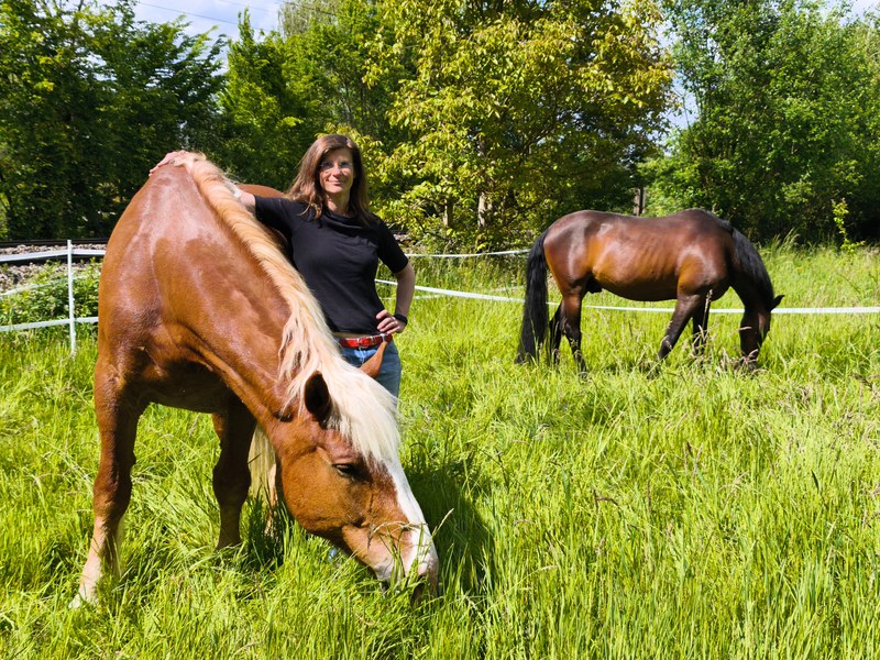 Eine Frau steht neben einem grasenden hellen Pferd auf der Wiese