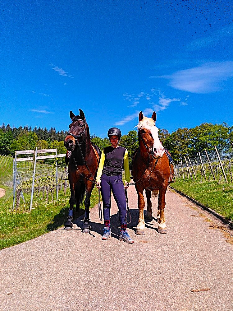 Jennifer Haug steht mit zwei Pferden auf einem Weg durch die Weinberge unter blauem Himmel
