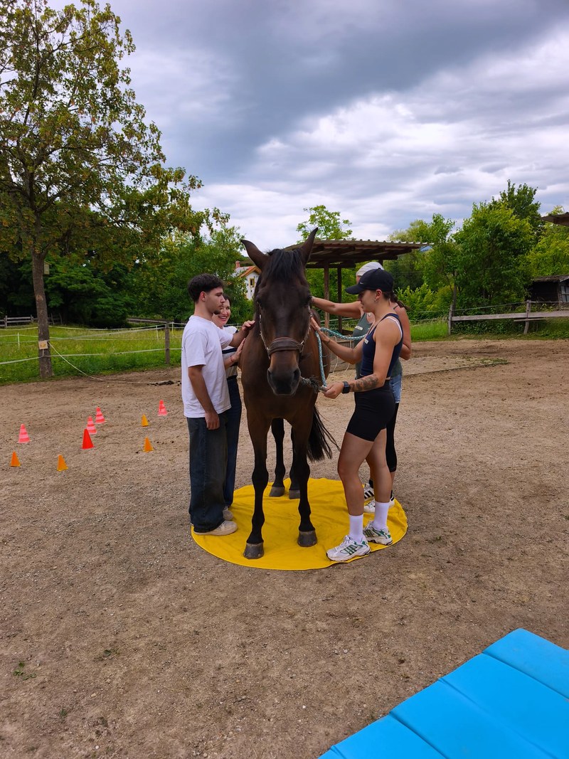 Junge Menschen üben gemeinsam mit einem Pferd auf dem Reitplatz