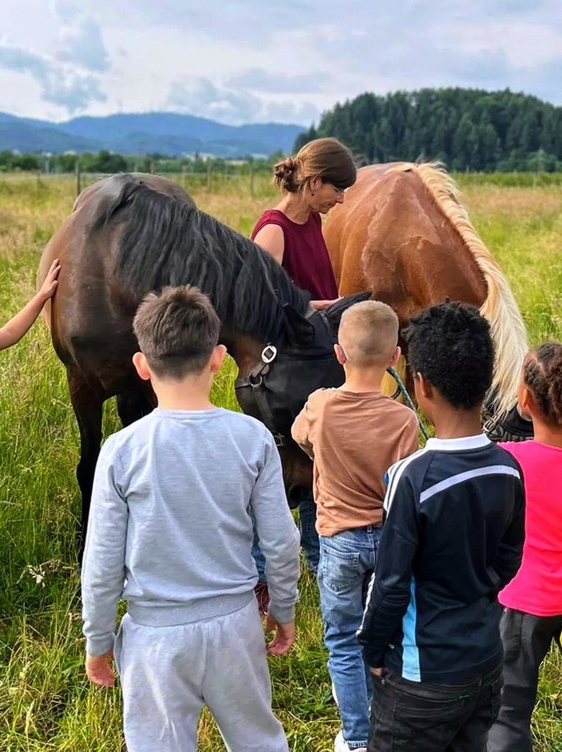 Kinder stehen gemeinsam bei zwei Pferden auf einer Wiese