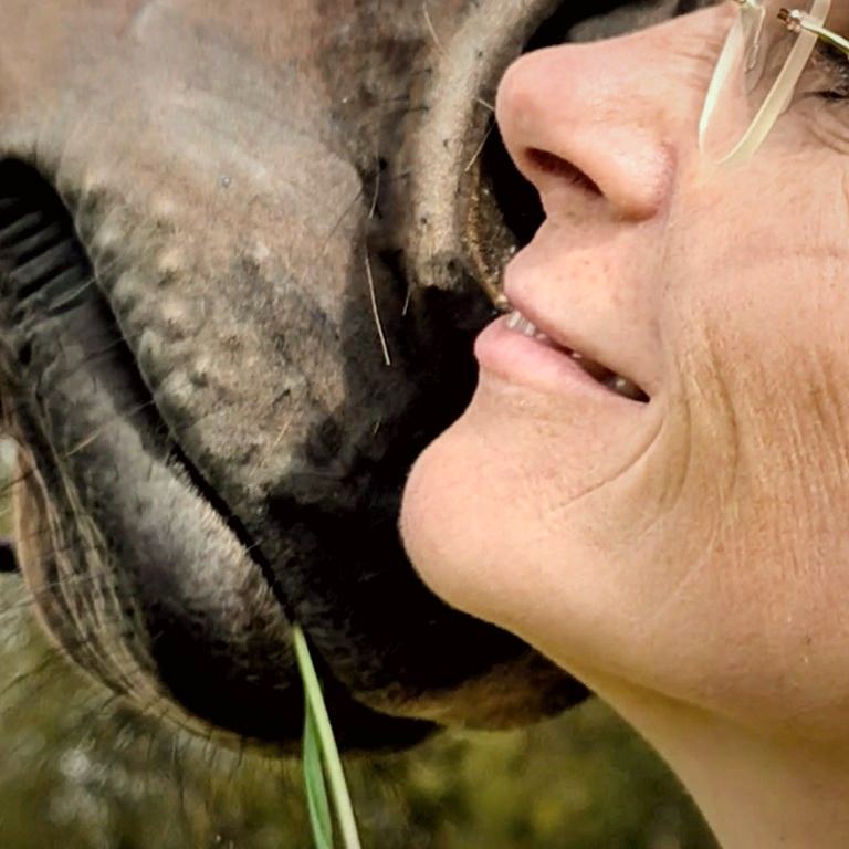 Nahaufnahme: das Maul eines Pferdes dicht am Gesicht einer Frau
