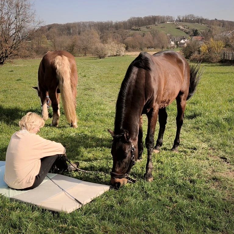 Eine Person sitzt im Gras, zwei Pferde grasen daneben