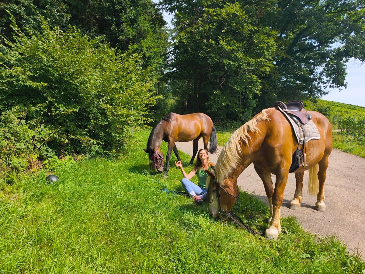 Eine Person liegt im Gras neben grasenden Pferden