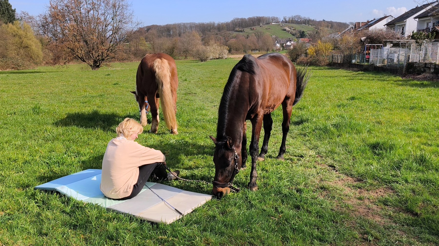 Eine Frau sitzt auf einer Matte auf der Wiese, zwei Pferde grasen daneben