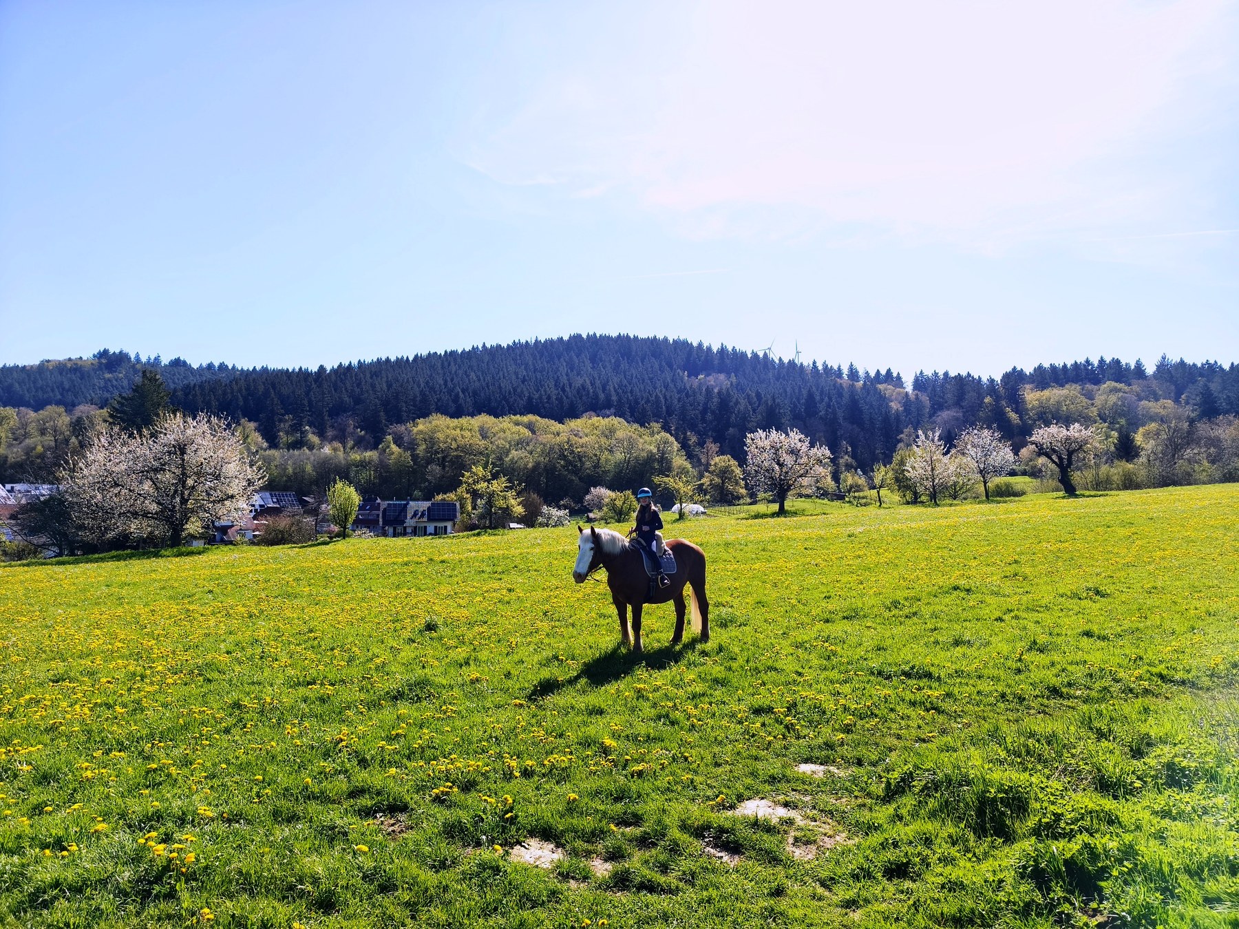 Eine Reiterin auf einer weiten Wiese vor dem Schwarzwald