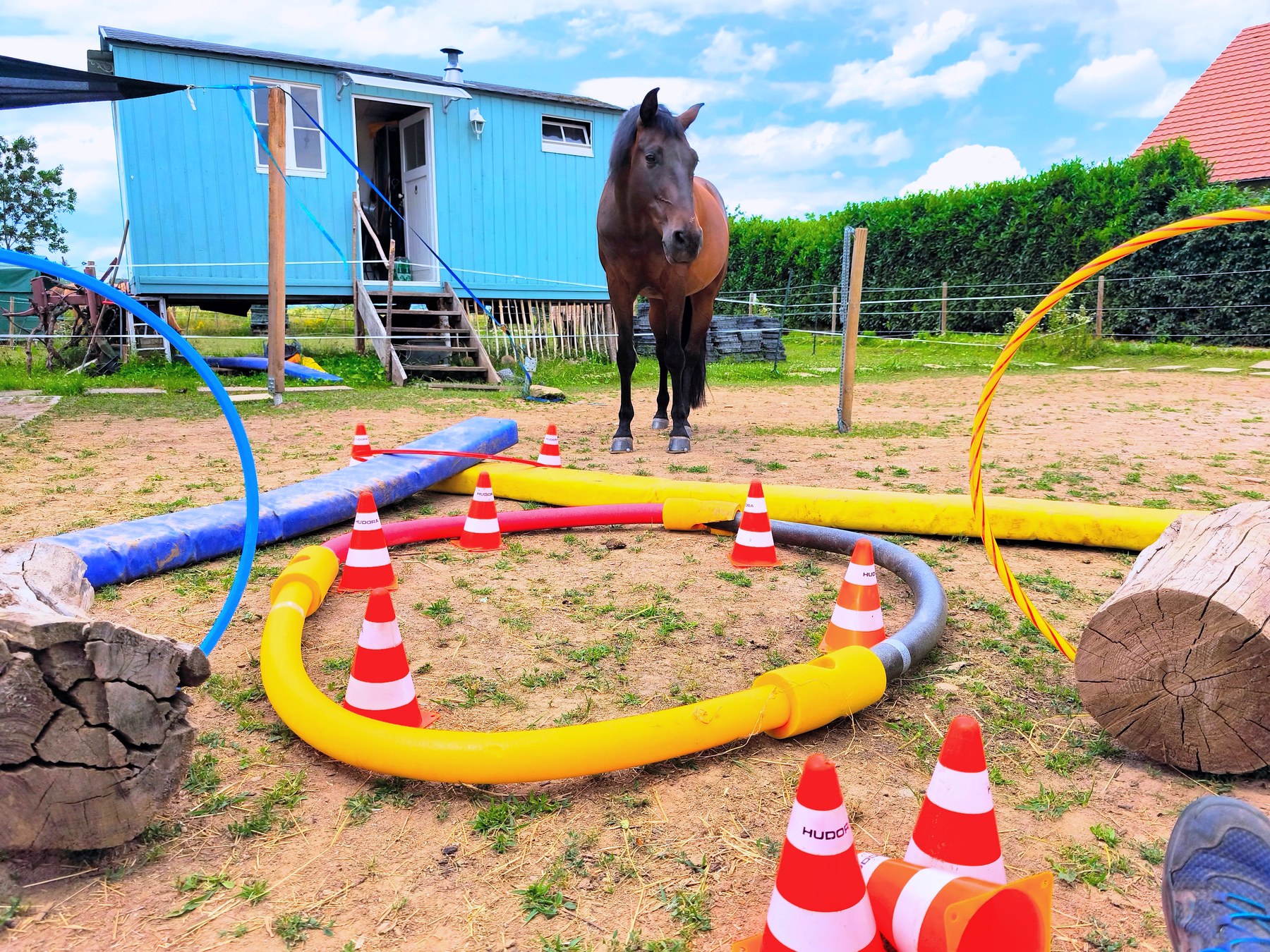 Ein dunkles Pferd steht bei einem blauen Bauwagen zwischen bunten Übungsstationen
