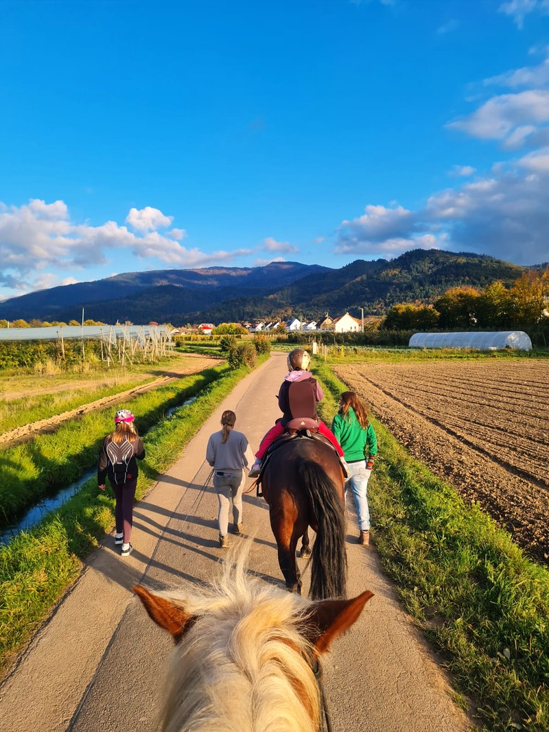 Eine Gruppe geht mit einem Pferd einen Weg zwischen Feldern entlang